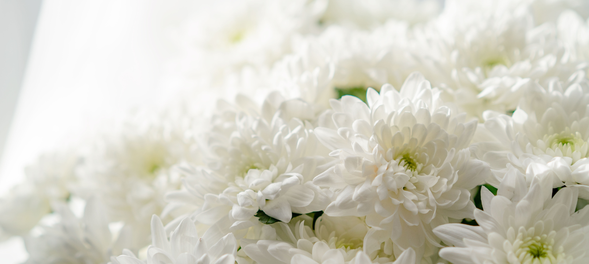 Alkalmi csokrok, koszorúk és egyedi virágköltemények – megrendelés egyszerűen, online!